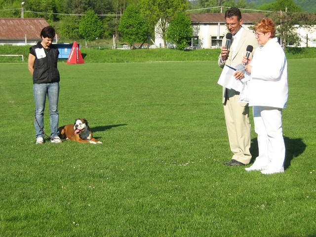 www.atibox.net * www.euroboxer.eu * www.boxergenealogia.eu